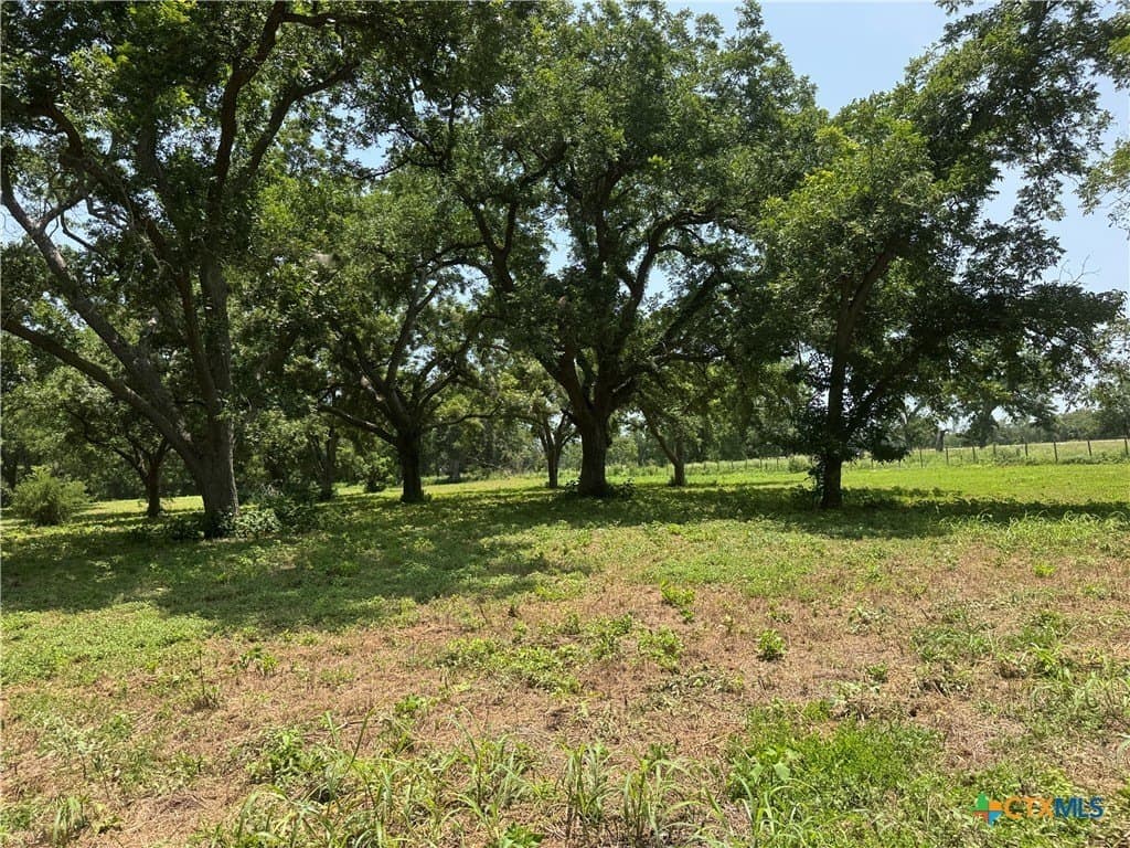 27.72 acres in Guadalupe County - photo 9
