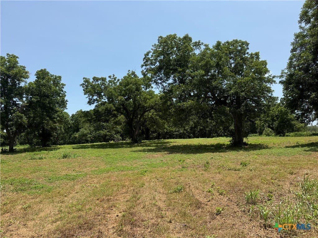 27.72 acres in Guadalupe County gallery image 3