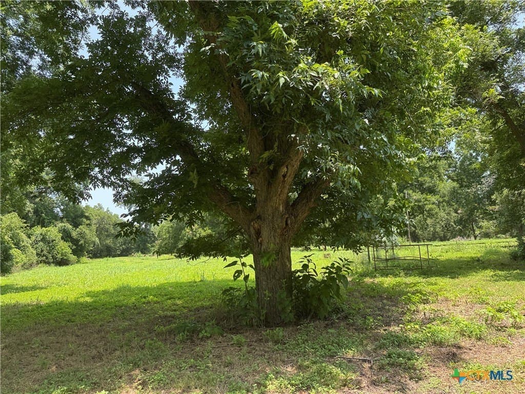 27.72 acres in Guadalupe County - photo 6