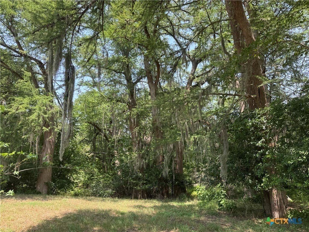 27.72 acres in Guadalupe County - photo 16