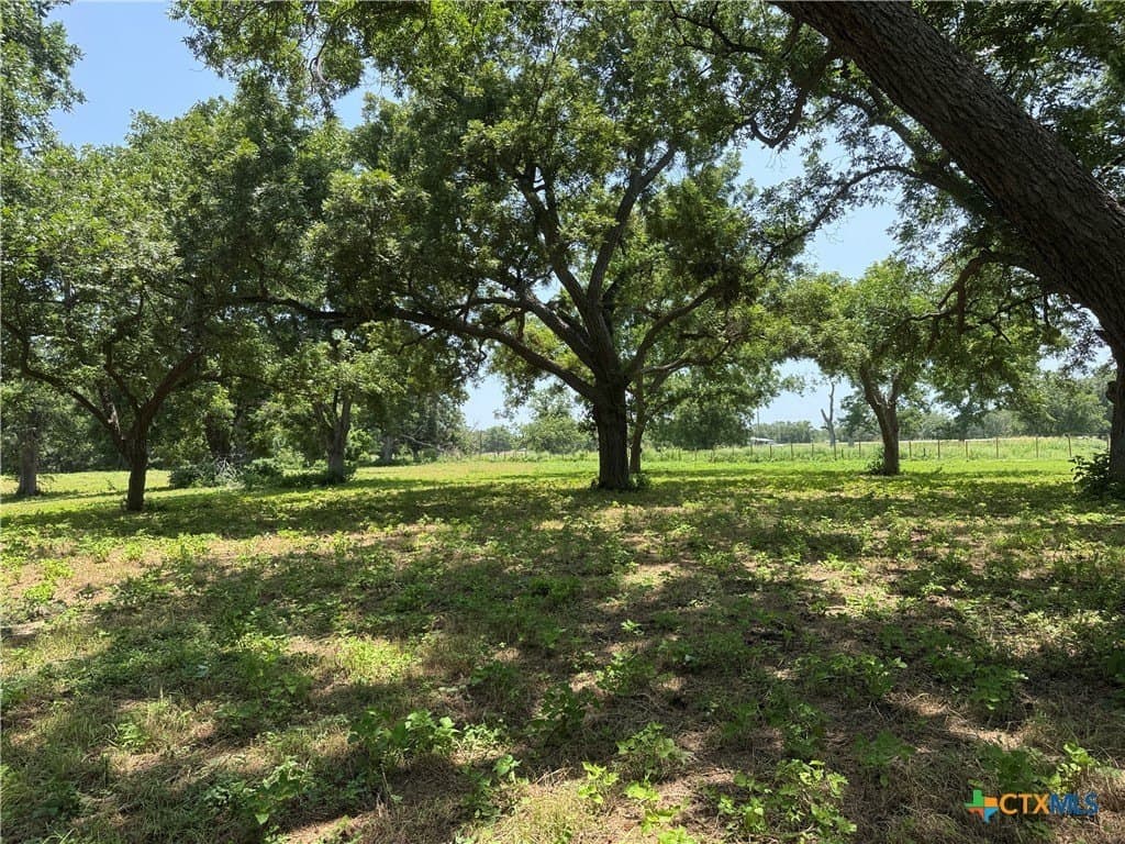 27.72 acres in Guadalupe County gallery image 2