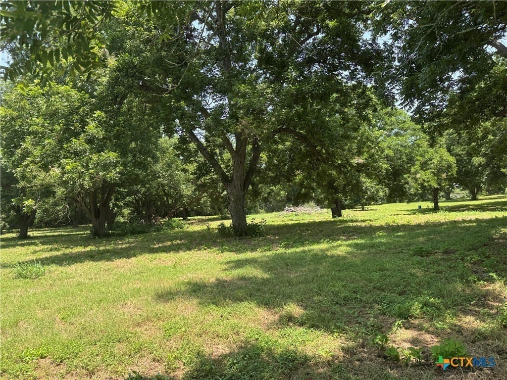 27.72 acres in Guadalupe County - photo 10