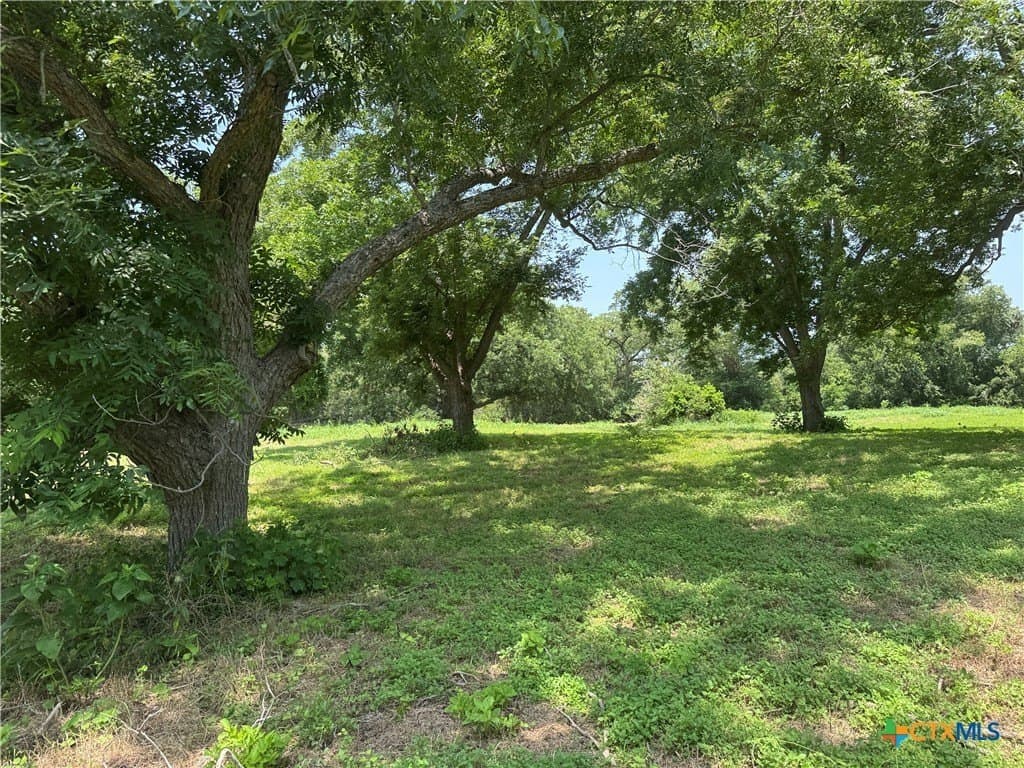 27.72 acres in Guadalupe County - photo 13