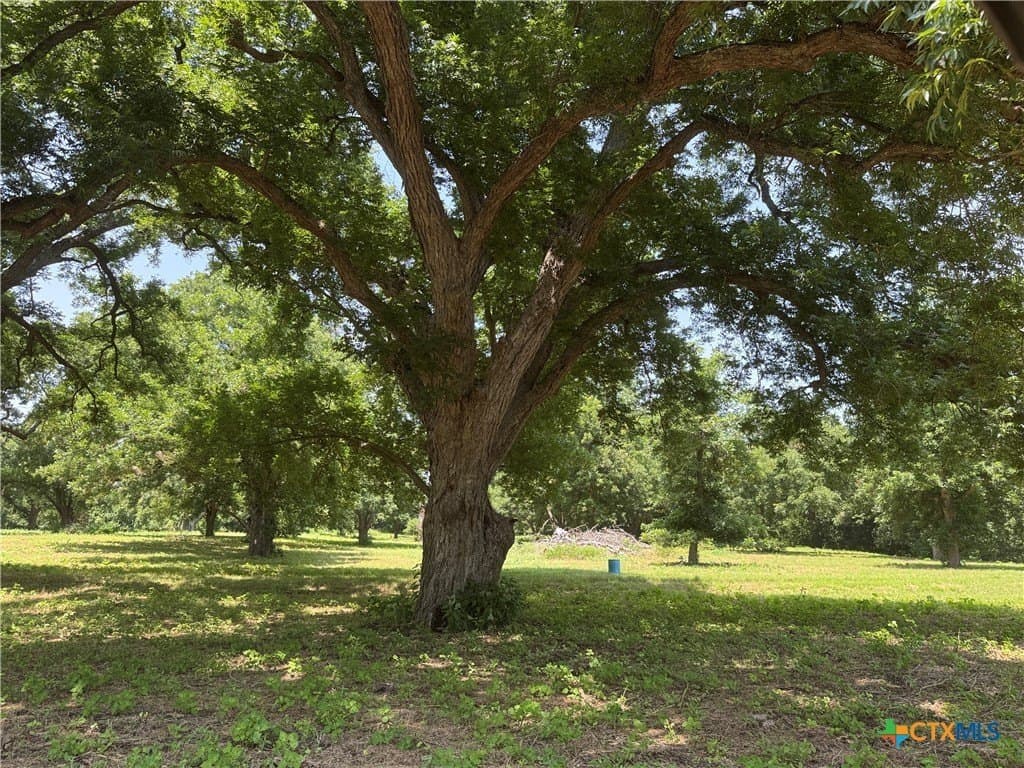 27.72 acres in Guadalupe County - photo 12