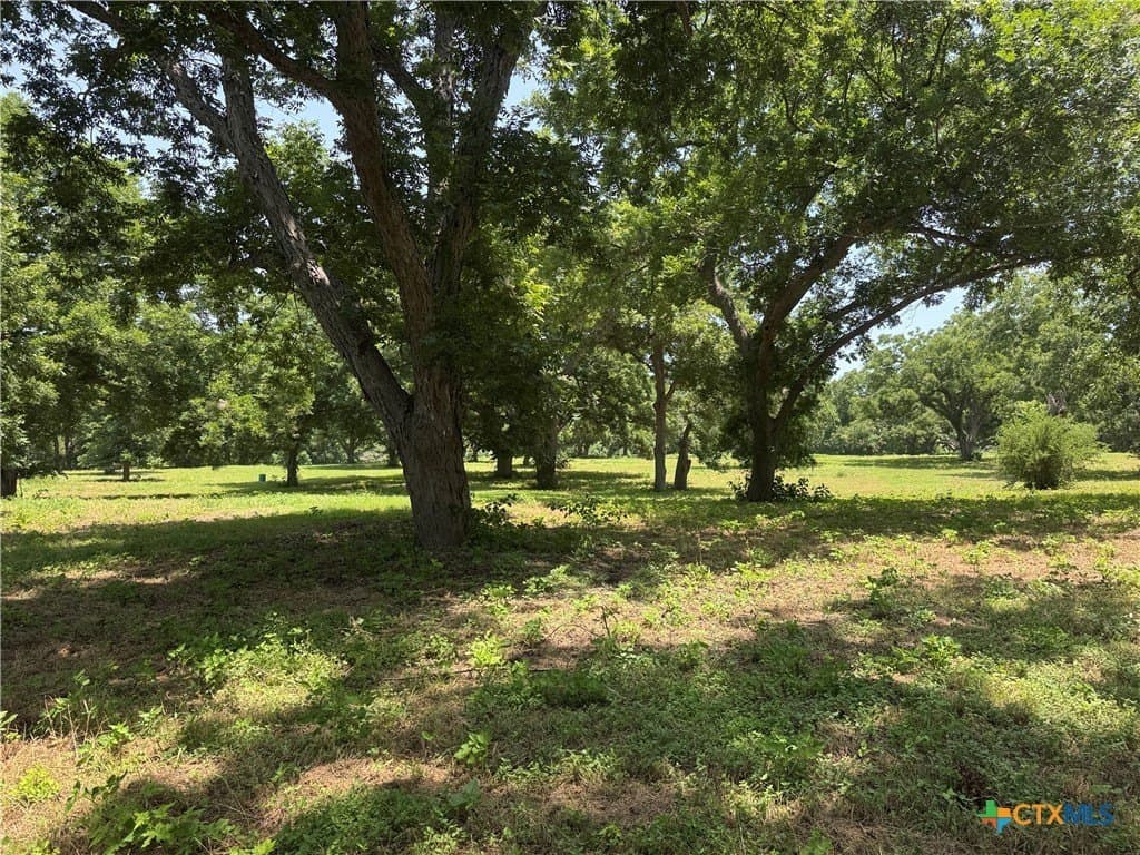 27.72 acres in Guadalupe County - photo 11