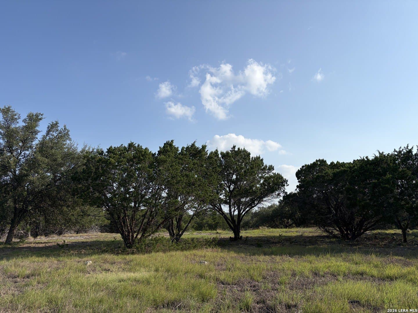 5.74 acres in Bandera County gallery image 3