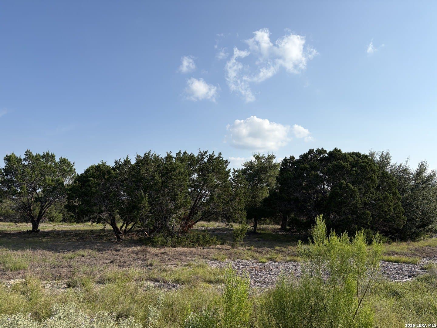 5.74 acres in Bandera County gallery image 4