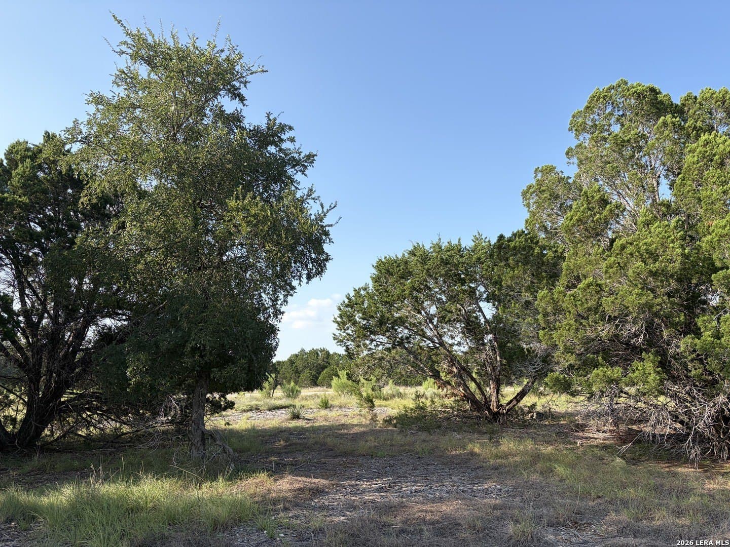 5.74 acres in Bandera County - photo 8