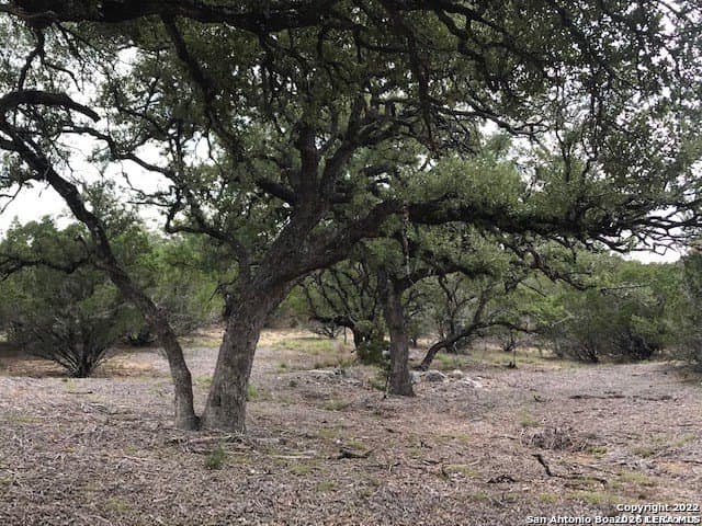 5.74 acres in Bandera County - photo 7