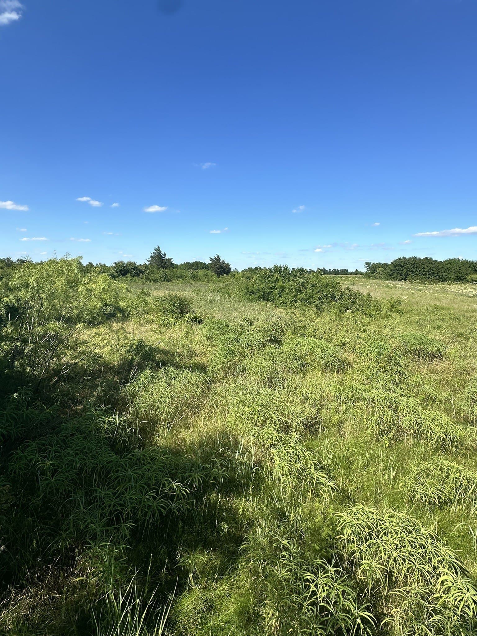 10 acres in Cooke County featured view