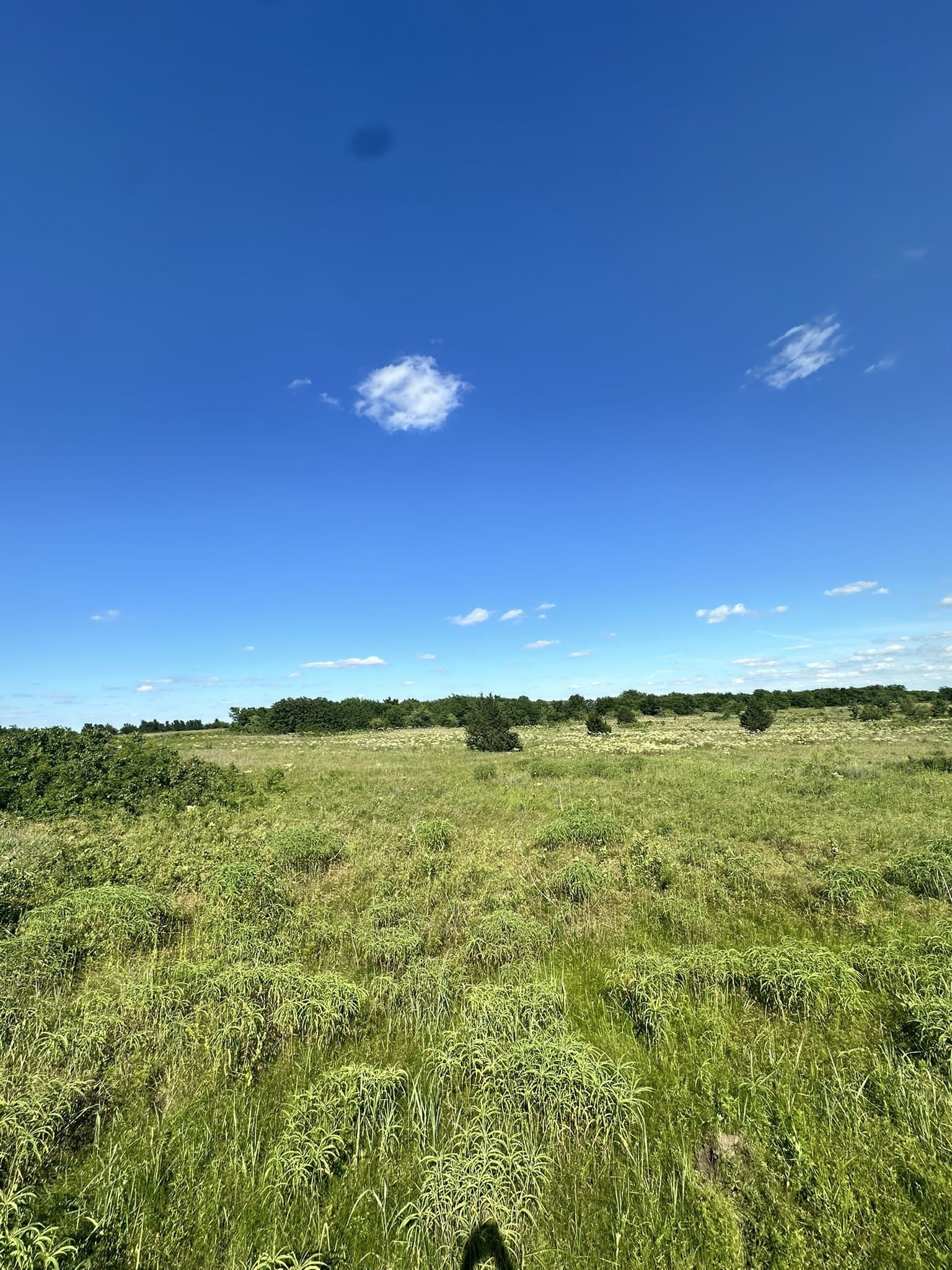 10 acres in Cooke County - photo 6