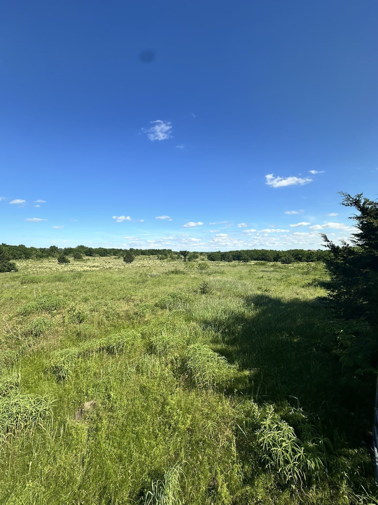10 acres in Cooke County - photo 7