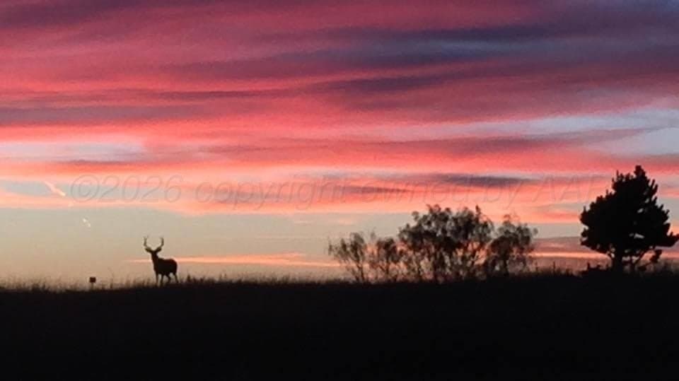 1.5 acres in Randall County - photo 12