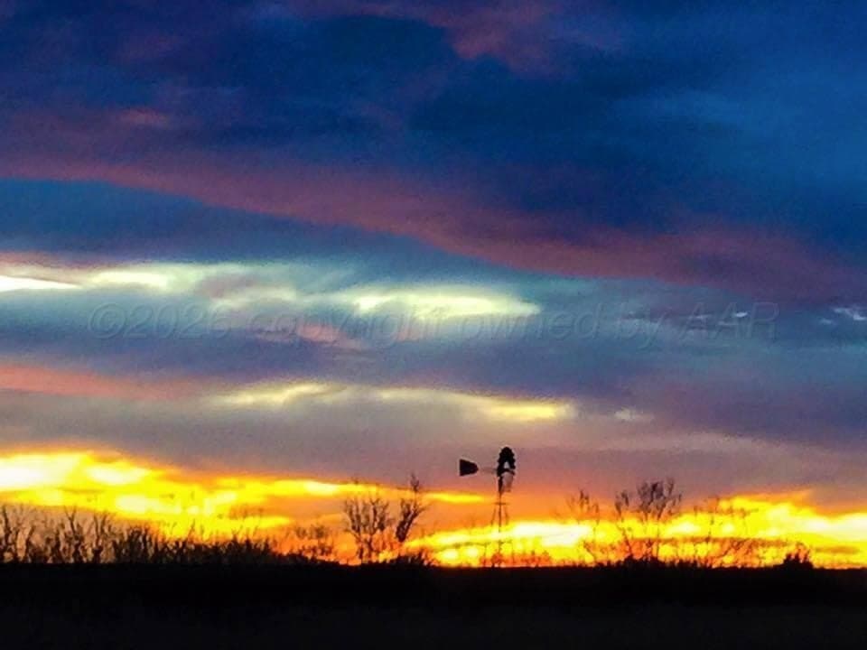 1.5 acres in Randall County - photo 8
