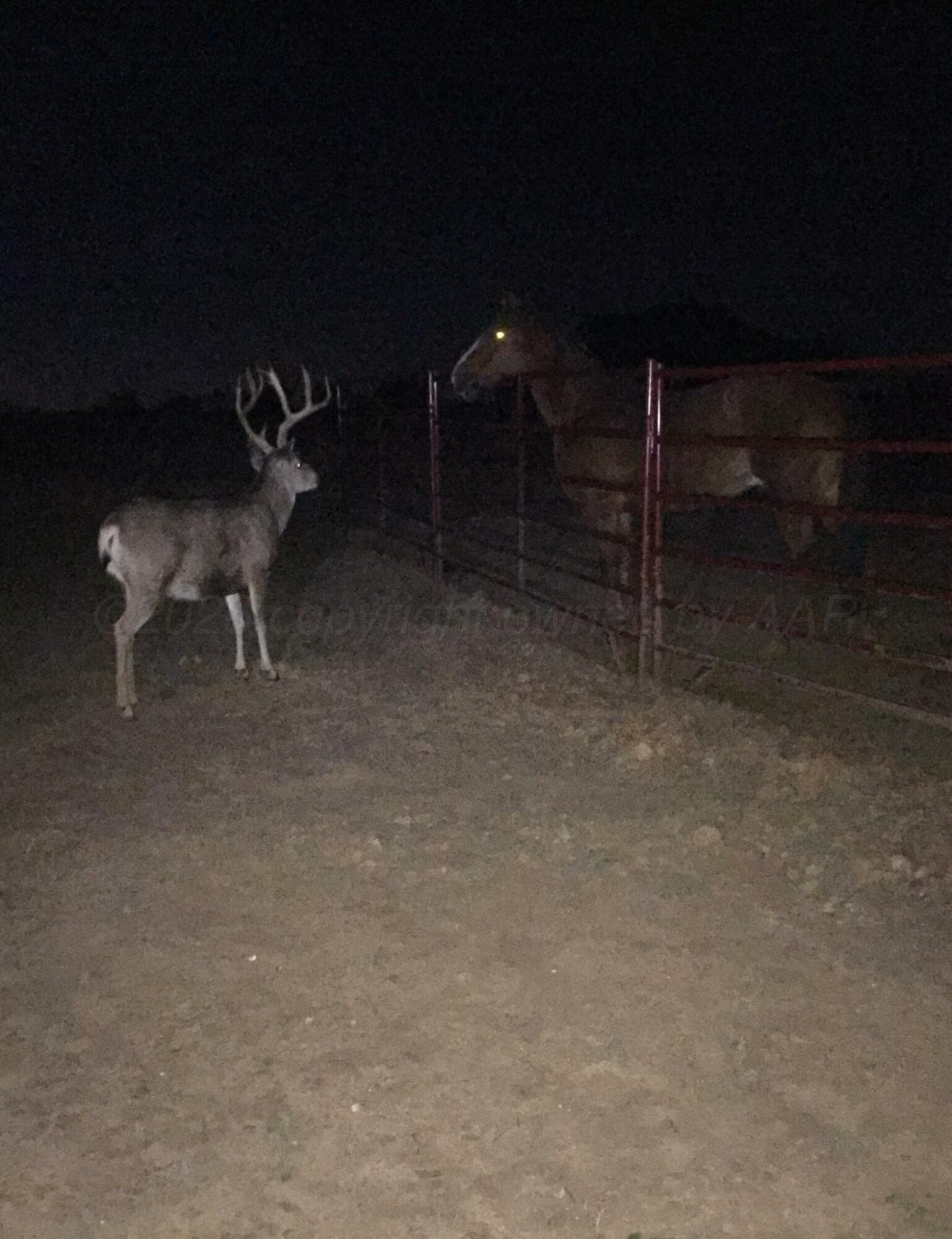 1.5 acres in Randall County - photo 15