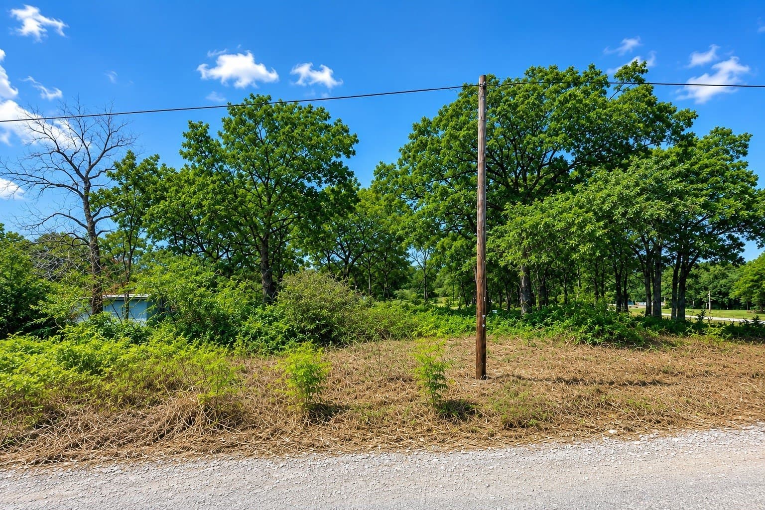 0.28 acres in Henderson County - photo 4