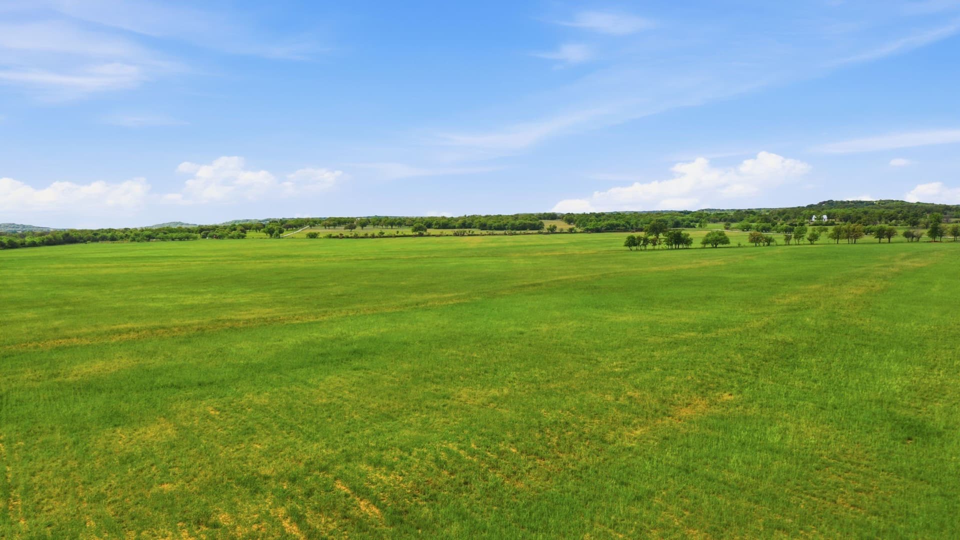 110 acres in Callahan County - photo 7