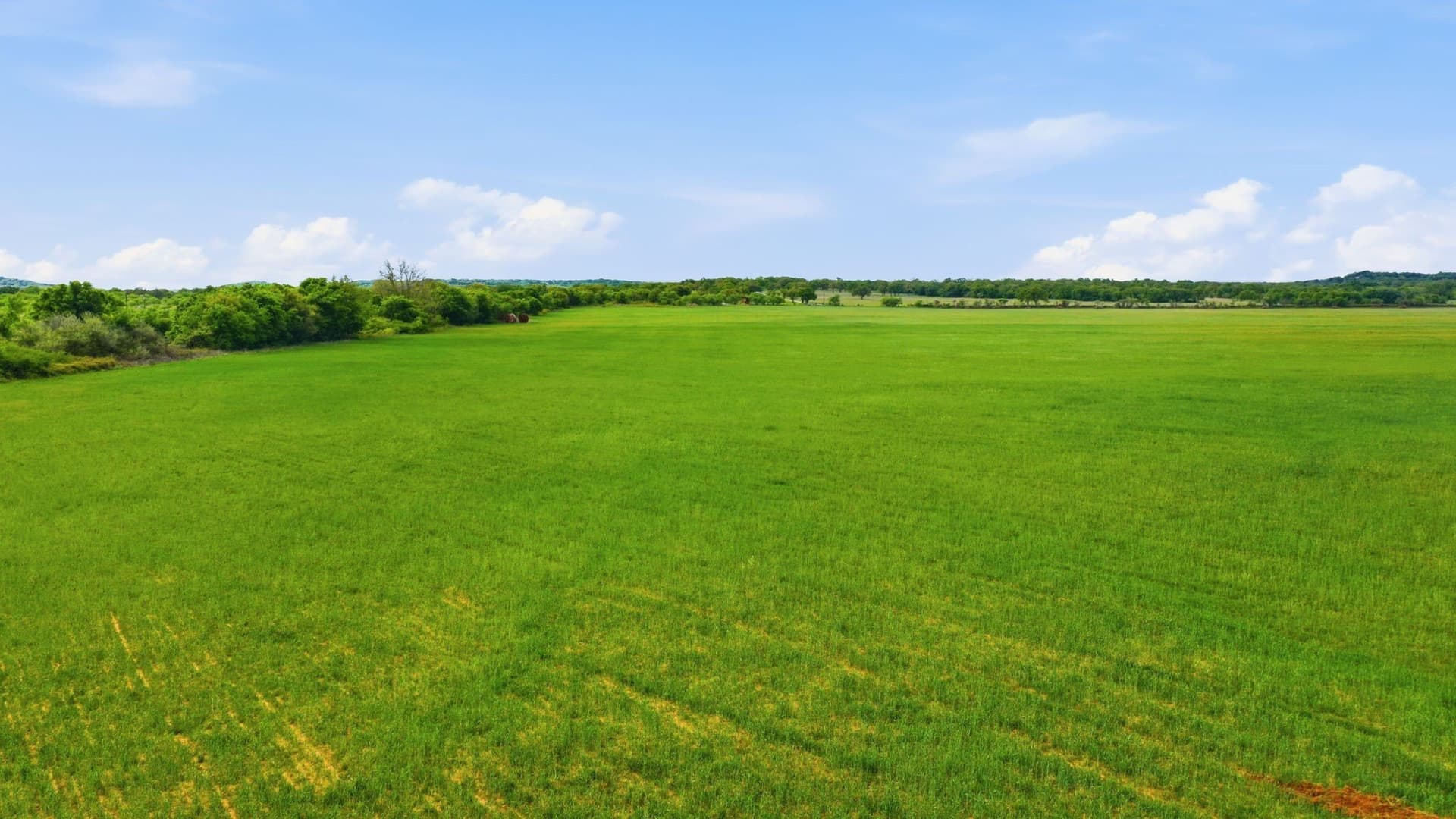 110 acres in Callahan County featured view