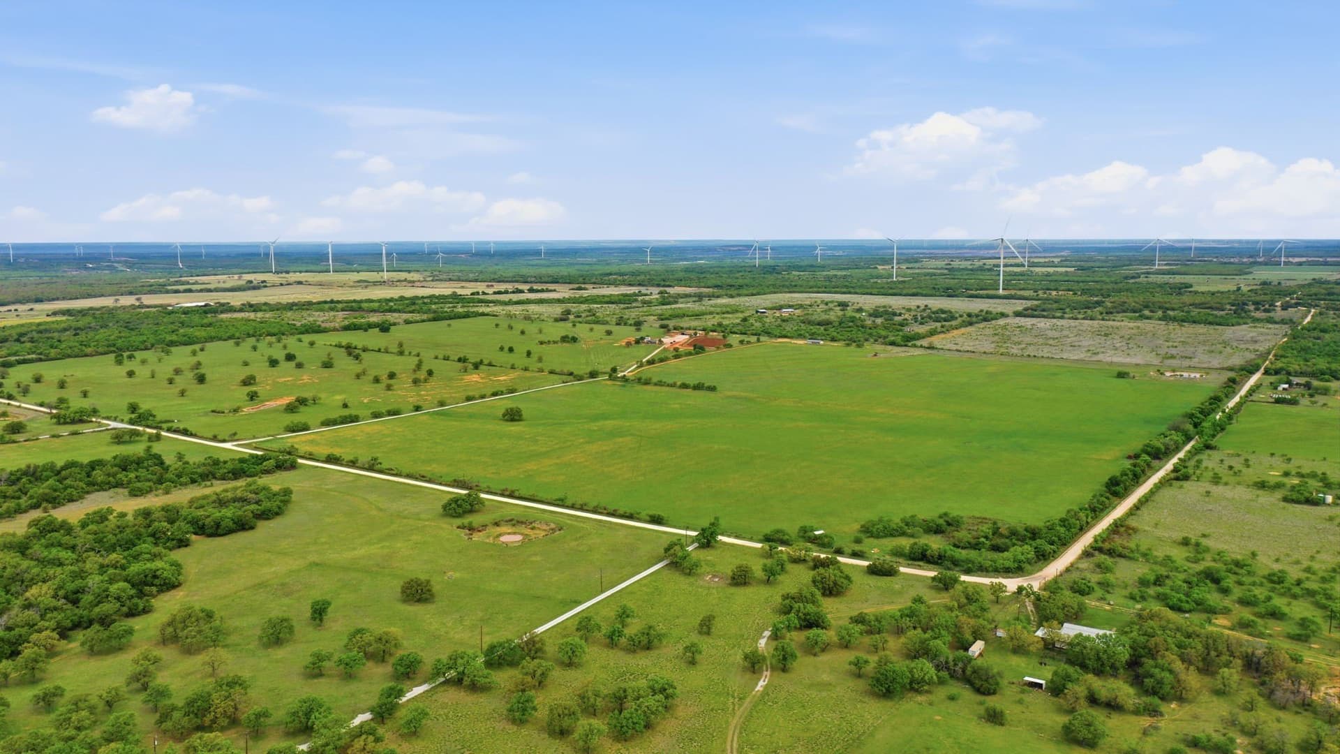 110 acres in Callahan County gallery image 2