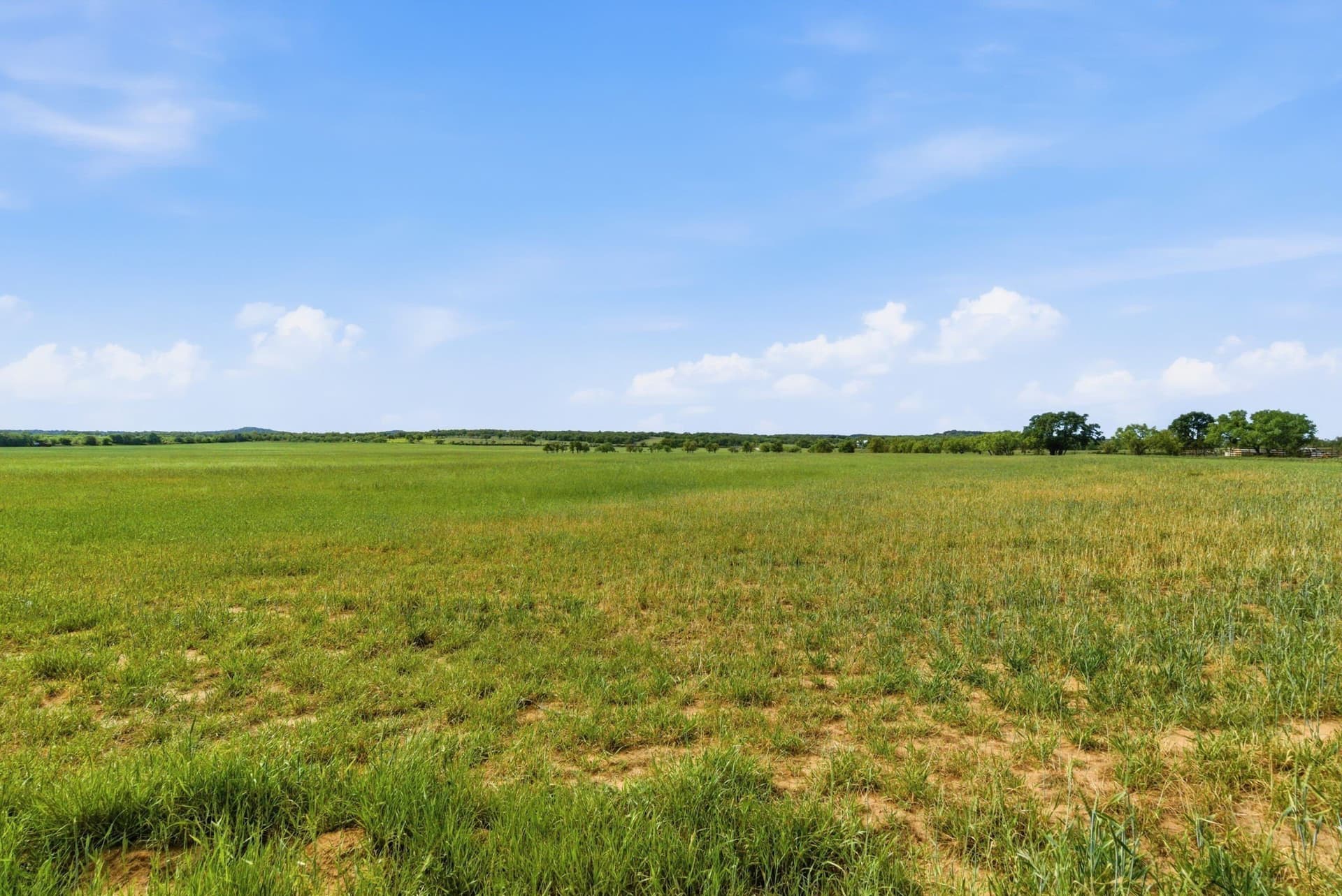 110 acres in Callahan County - photo 8