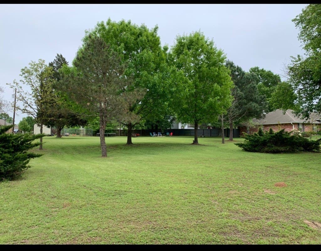 0.33 acres in Henderson County gallery image 4