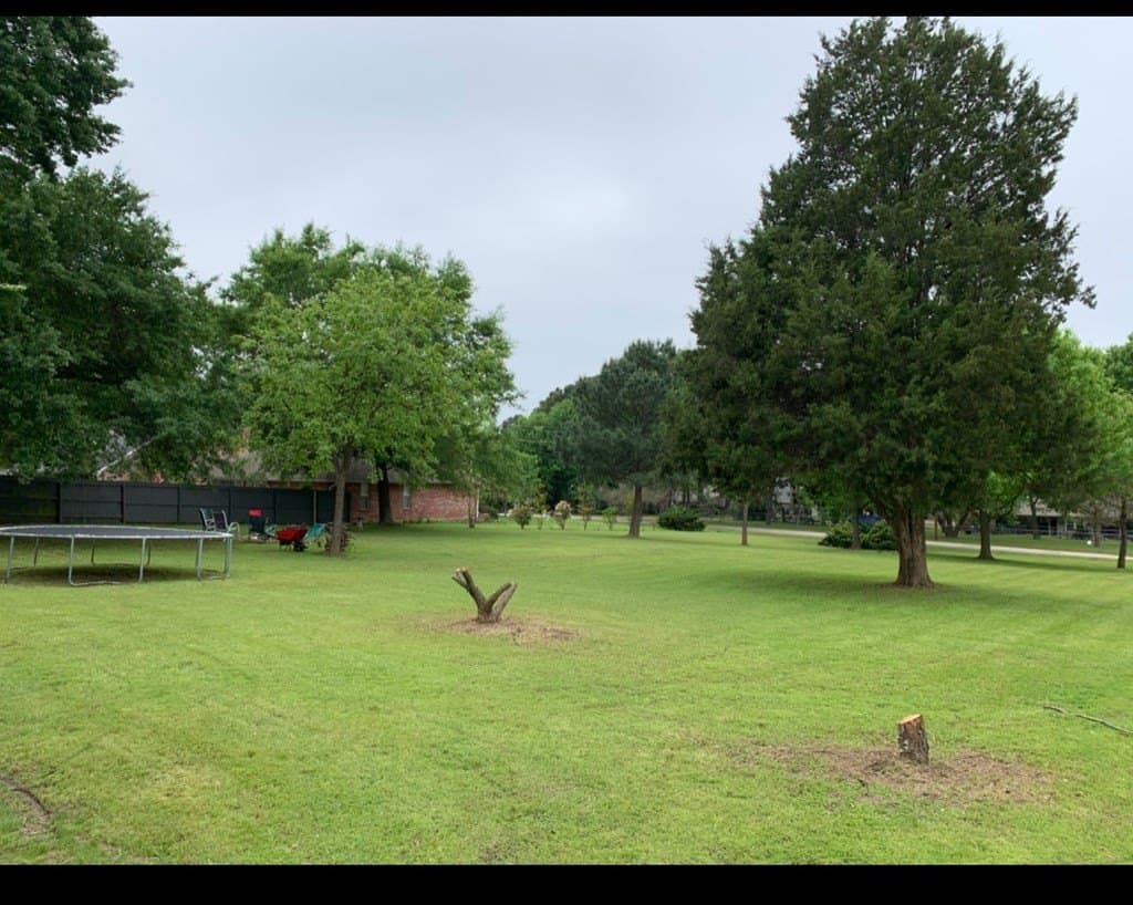 0.33 acres in Henderson County gallery image 3