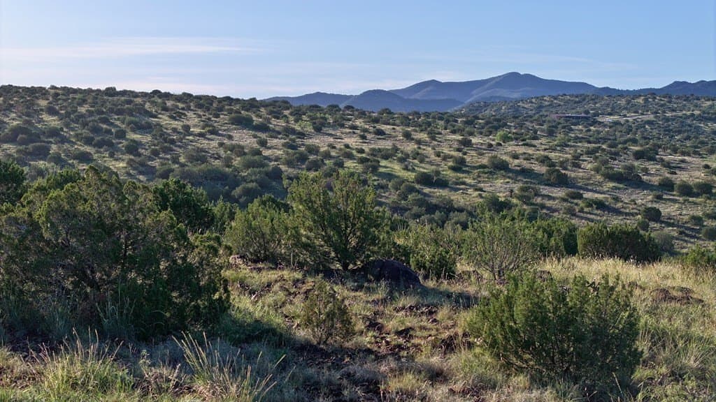 25.92 acres in Brewster County gallery image 2