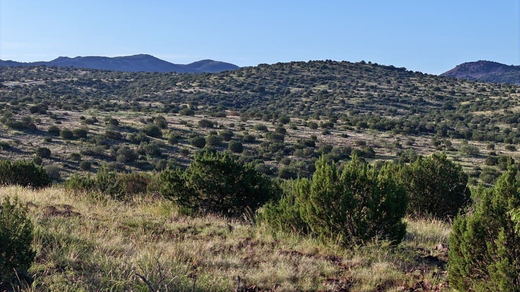 25.92 acres in Brewster County gallery image 3