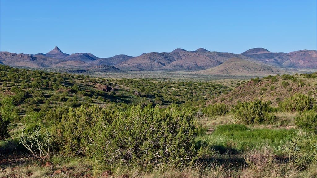 25.92 acres in Brewster County - photo 6