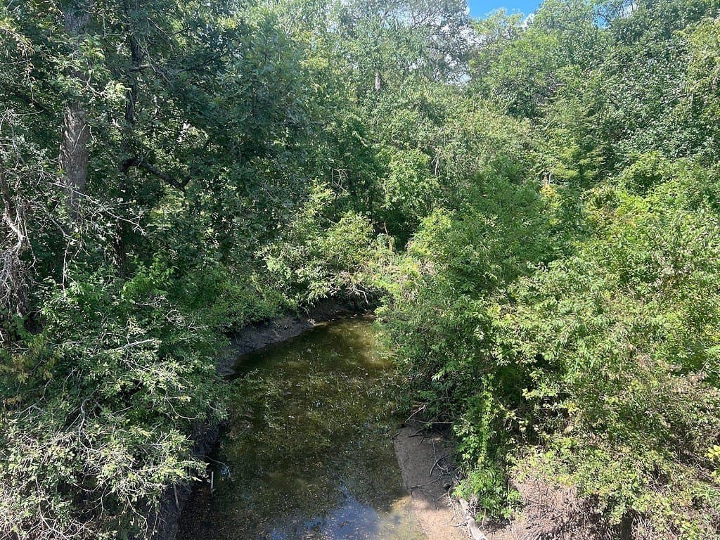 162.82 acres in Washington County - photo 5