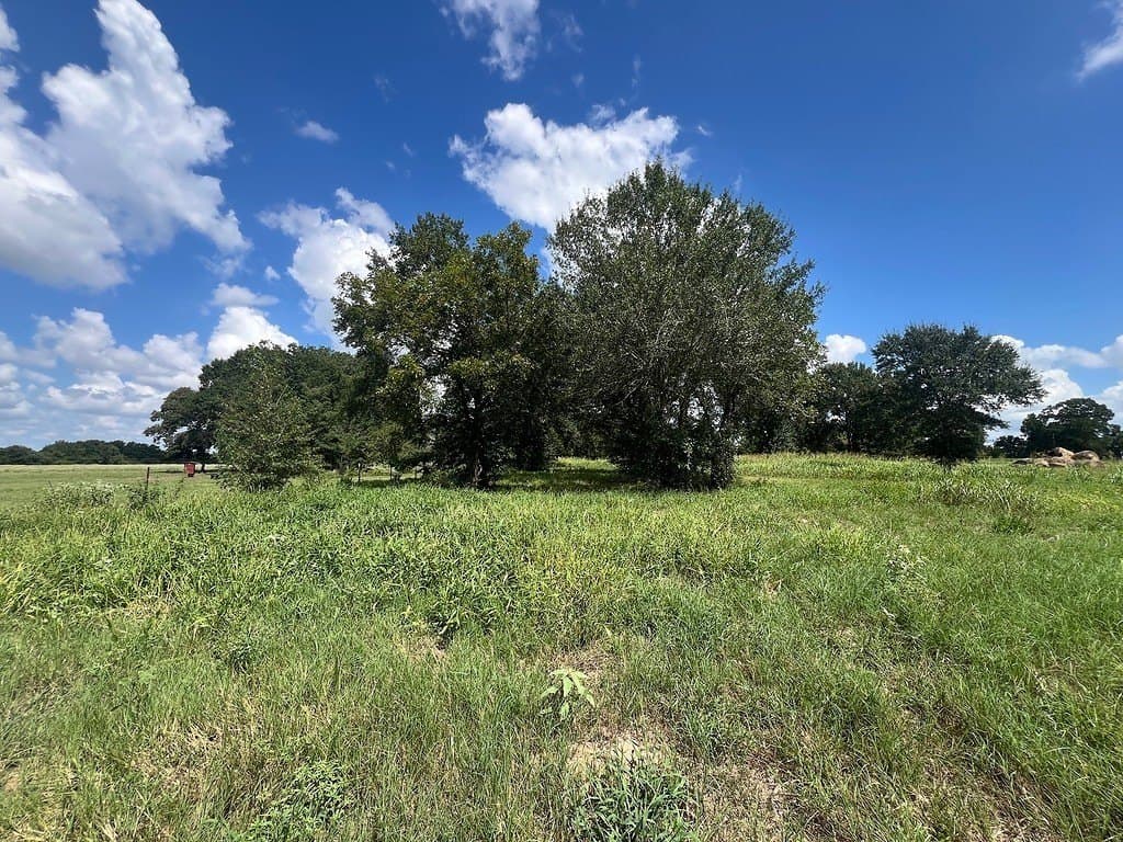 162.82 acres in Washington County - photo 3