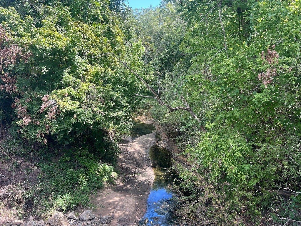 162.82 acres in Washington County - photo 6