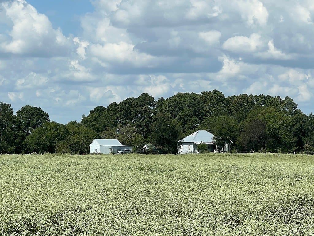 162.82 acres in Washington County - photo 2
