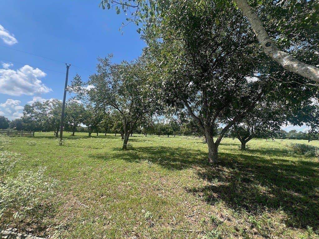 162.82 acres in Washington County