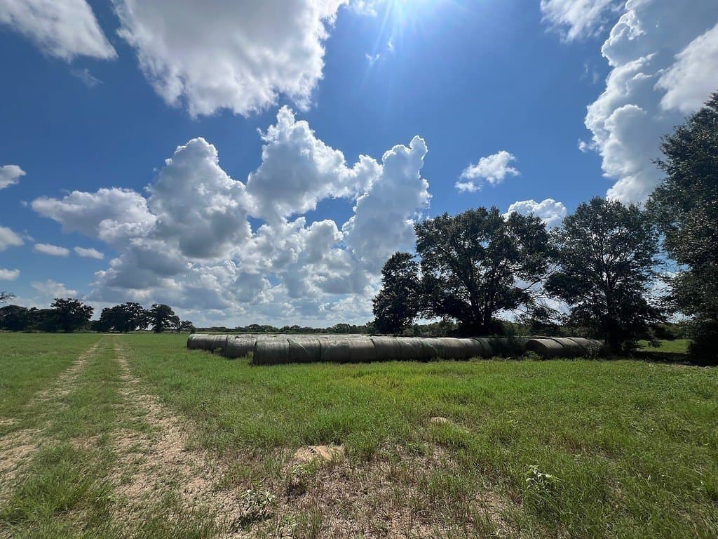 162.82 acres in Washington County - photo 4
