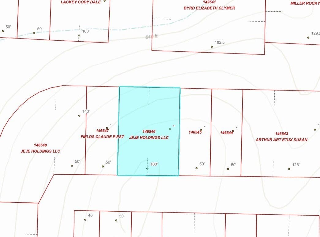 0.32 acres in Grayson County - photo 2