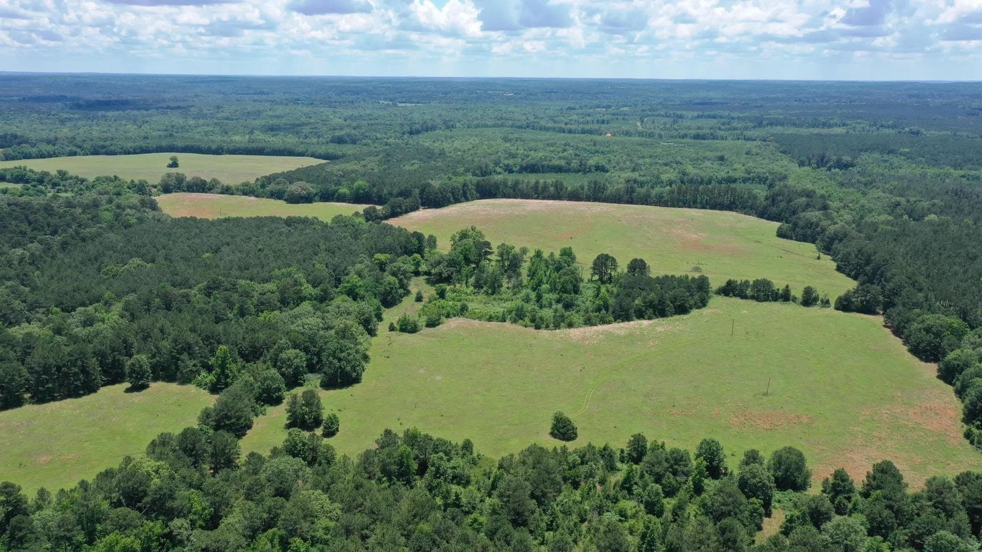 231 acres in Cass County - photo 13