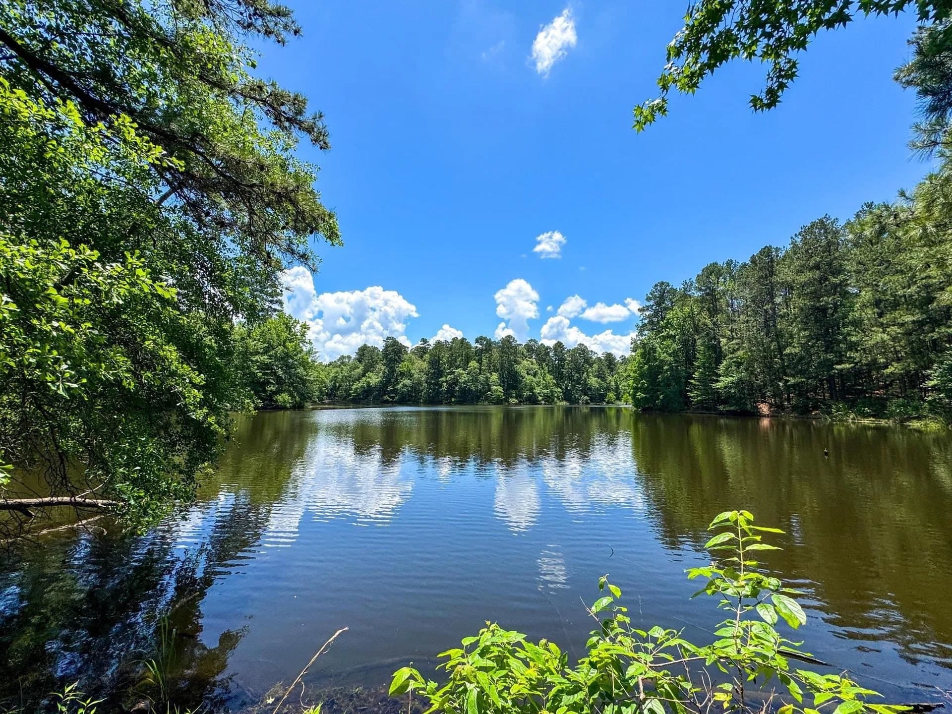 231 acres in Cass County featured view