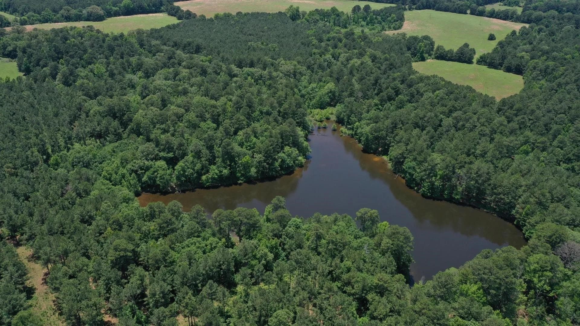 231 acres in Cass County gallery image 3
