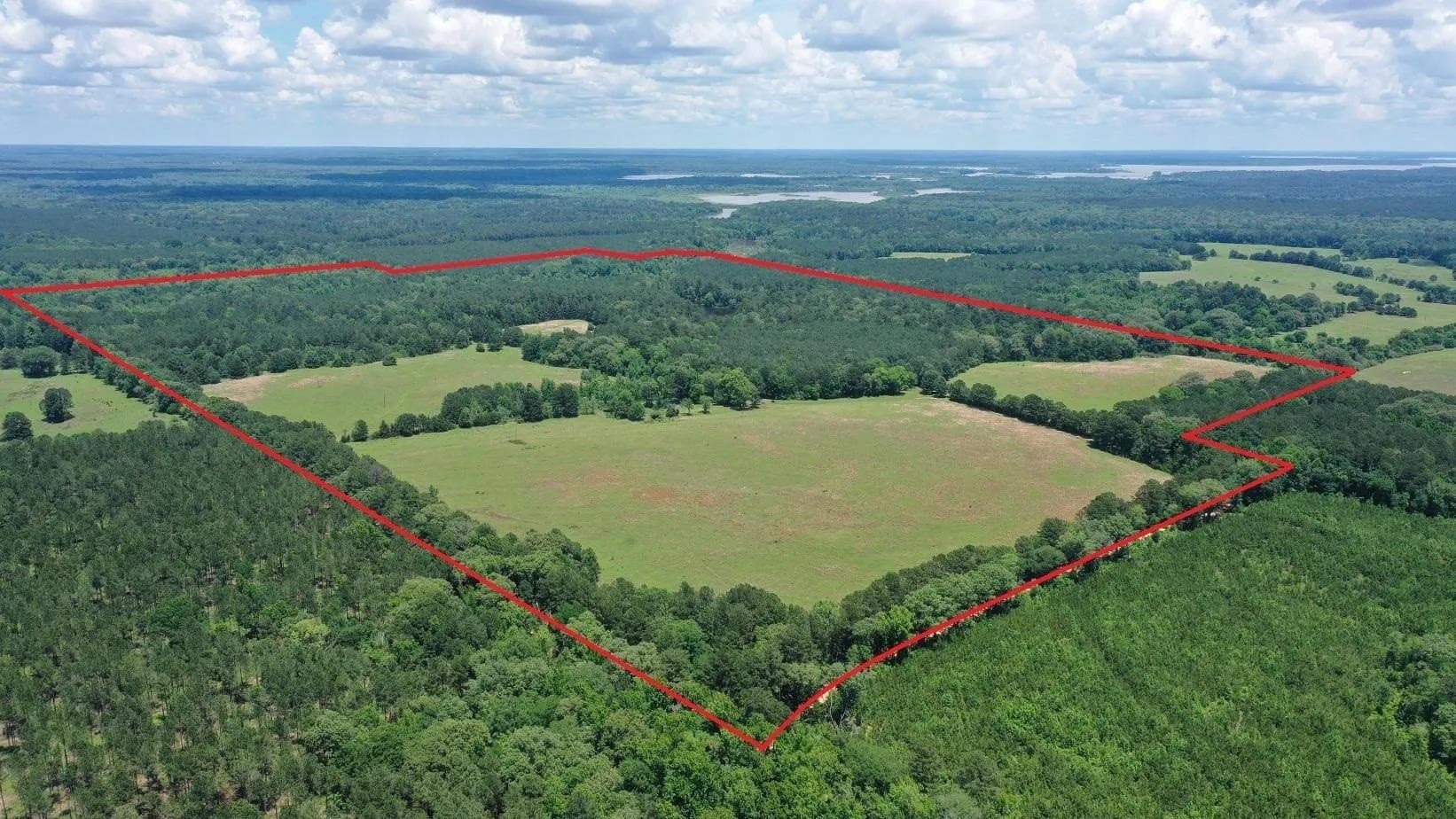 231 acres in Cass County