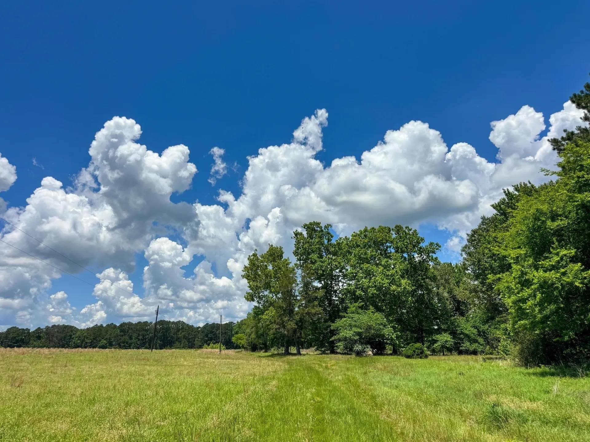 231 acres in Cass County - photo 19