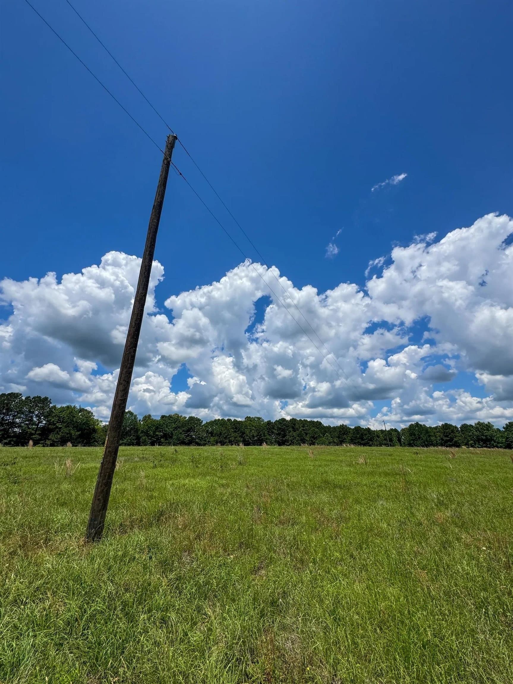 231 acres in Cass County - photo 14