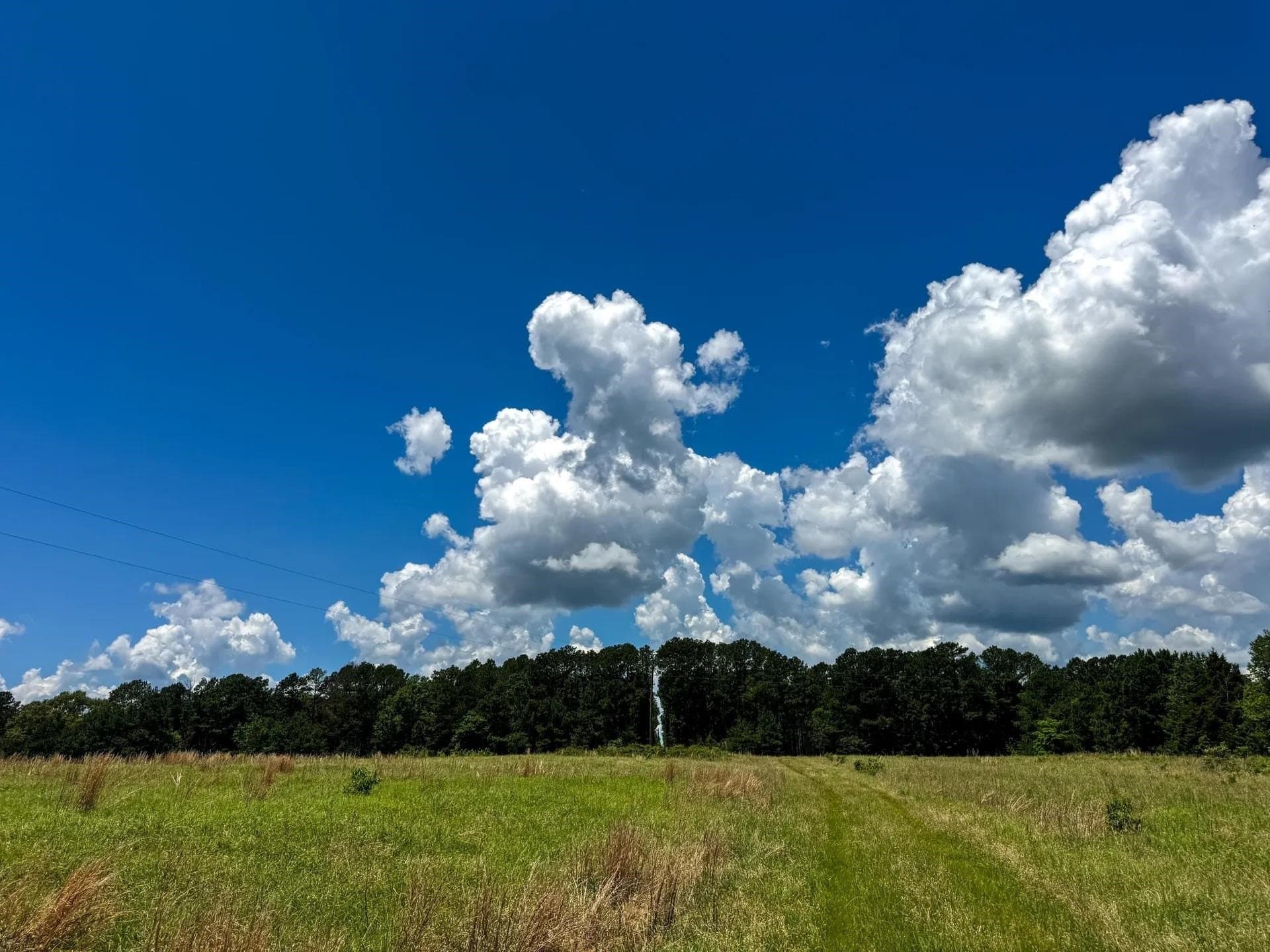 231 acres in Cass County - photo 17