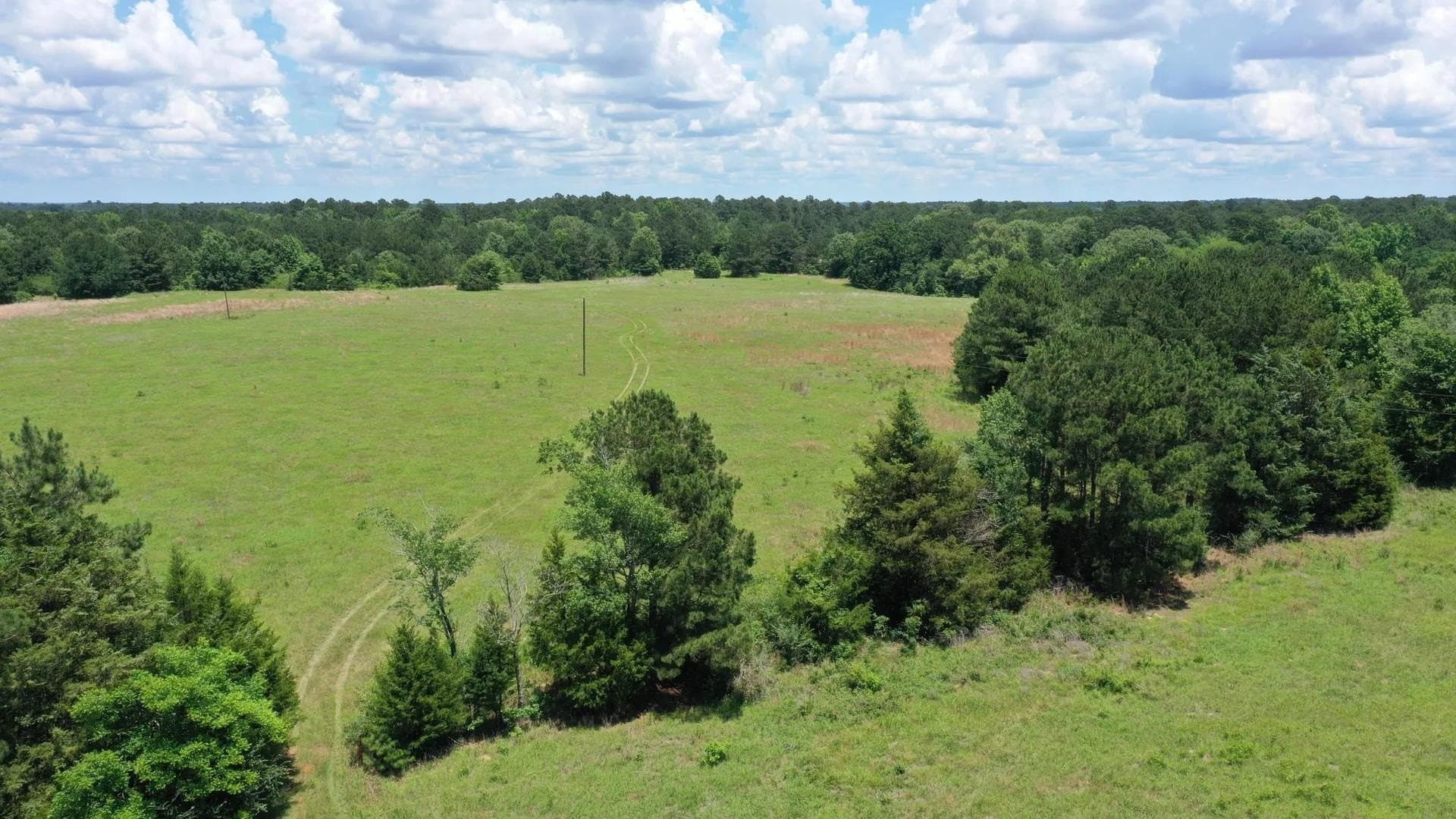 231 acres in Cass County - photo 12
