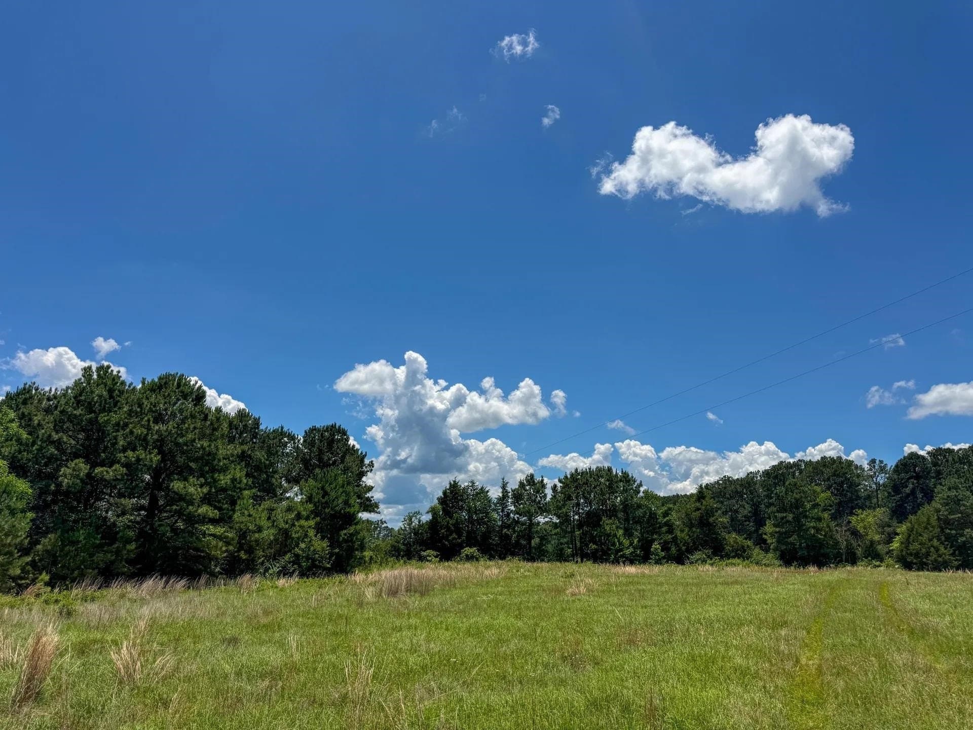 231 acres in Cass County - photo 26