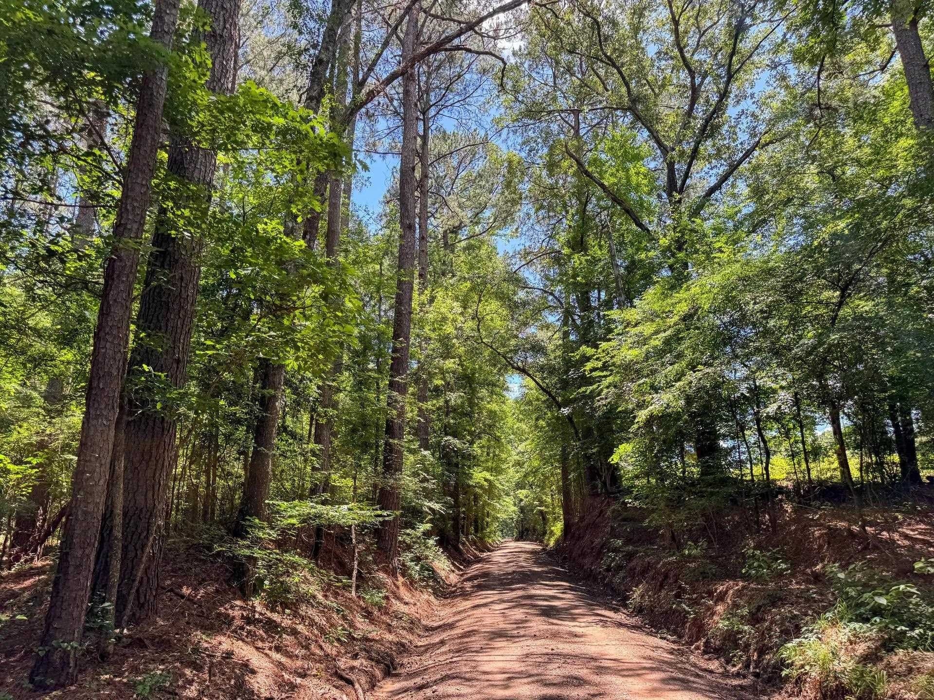 231 acres in Cass County - photo 42