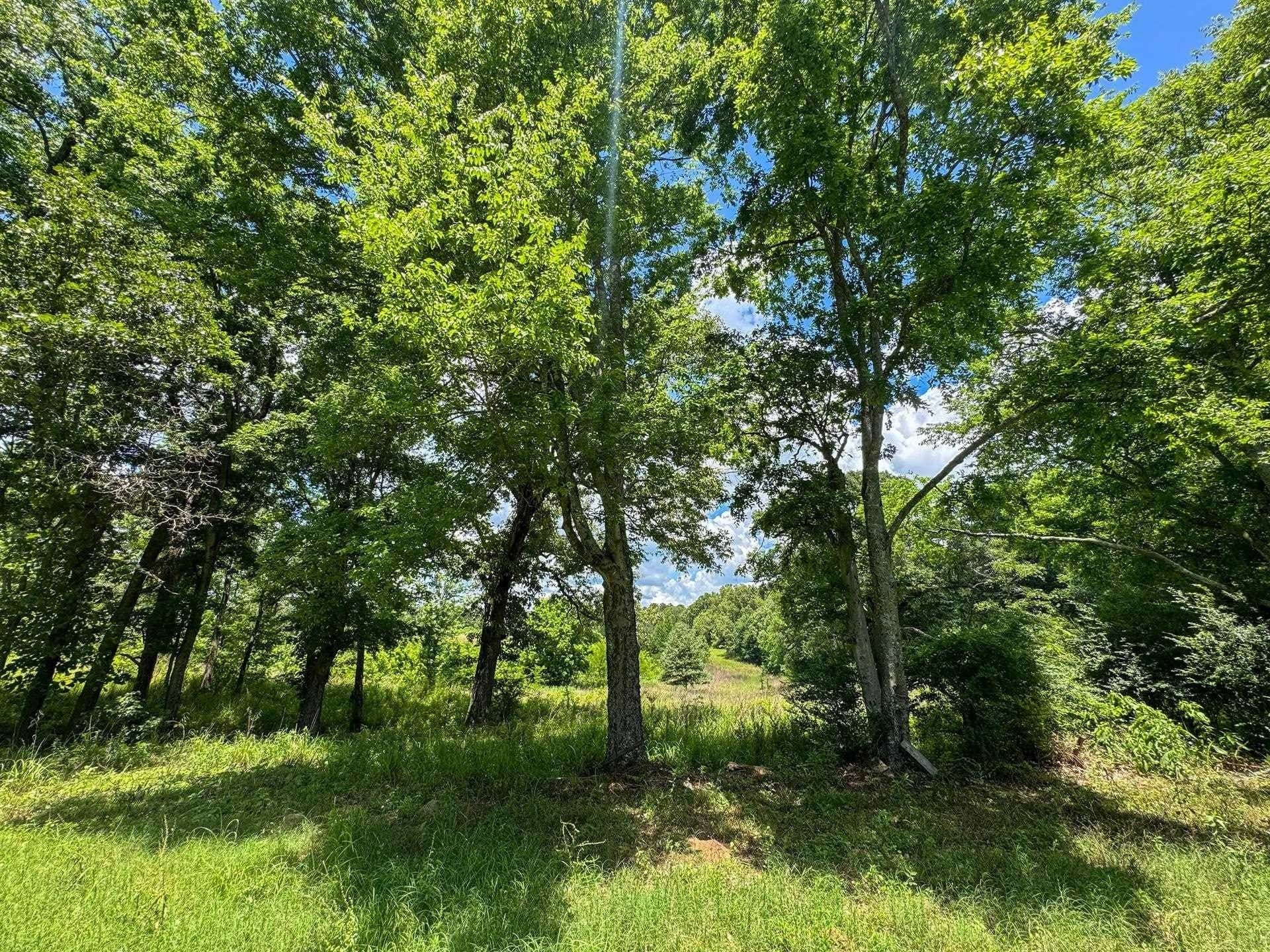 231 acres in Cass County - photo 18