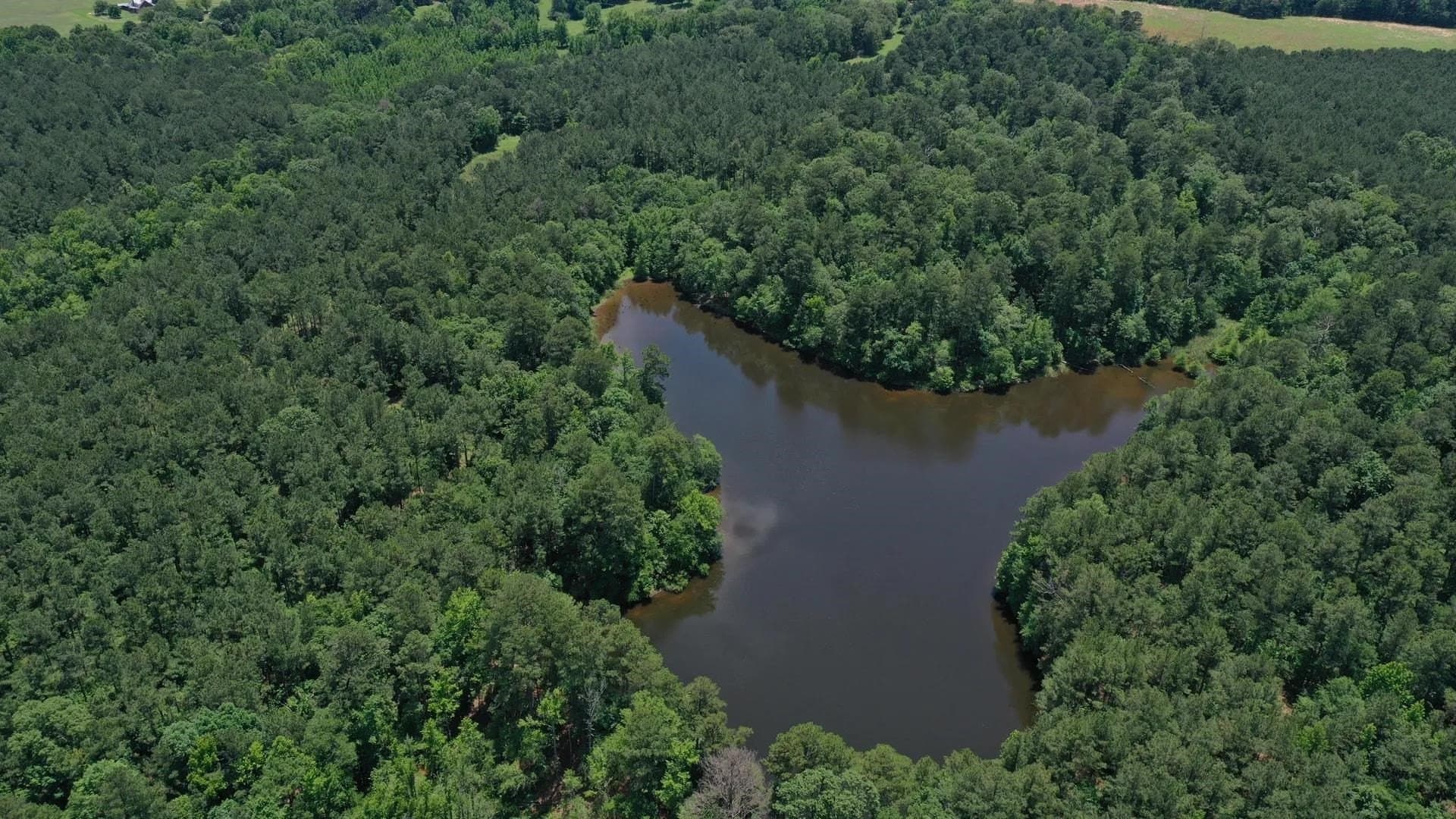 231 acres in Cass County gallery image 2