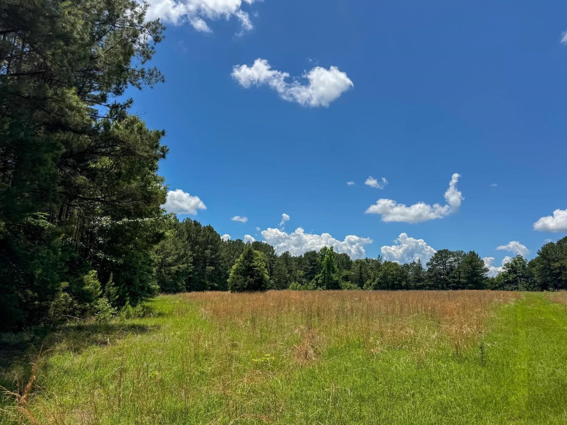 231 acres in Cass County - photo 15