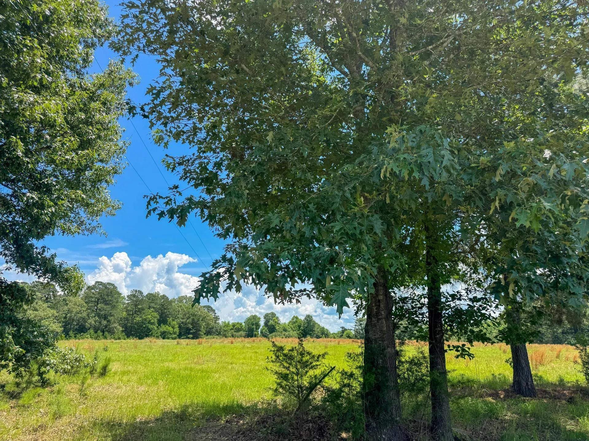231 acres in Cass County - photo 20